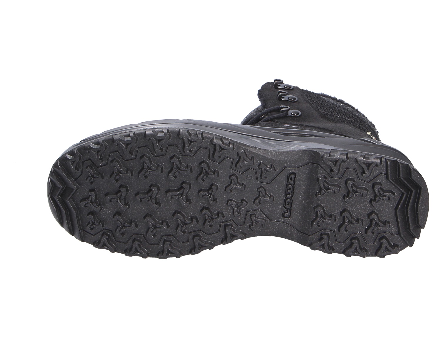 CALCETA EVO GTX Ws