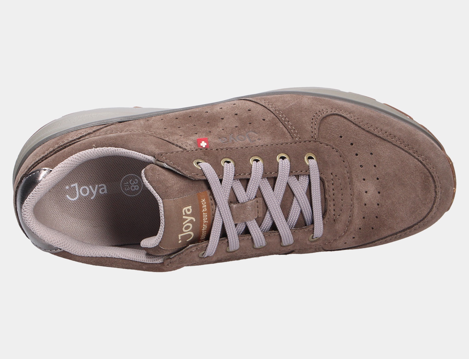 Dynamo classic w brown