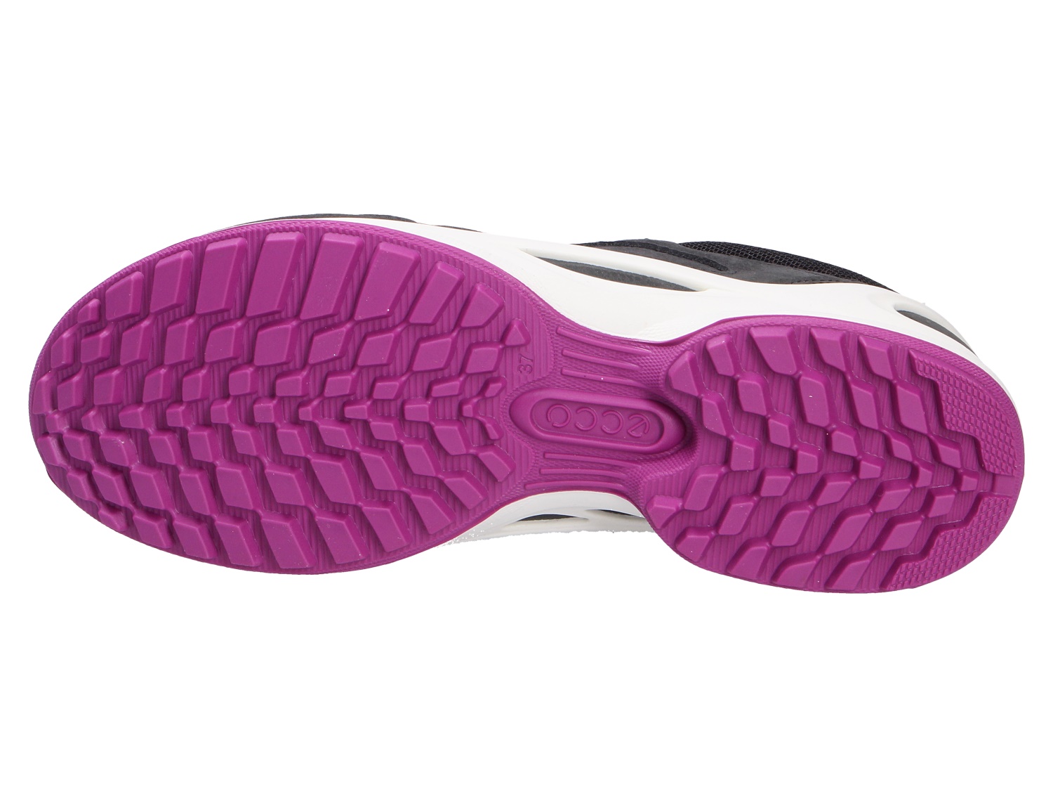 BIOM ENERGI W